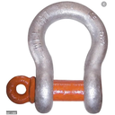 5/8" CM SCREW PIN ANCHOR SHACKLE